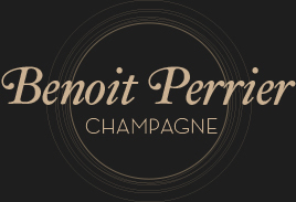 Logo de la société Benoit Perrier